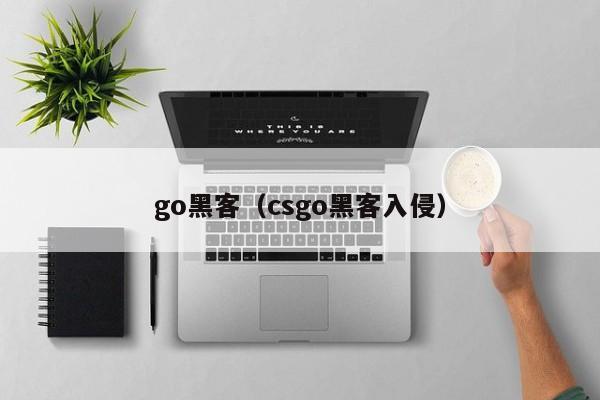 go黑客（csgo黑客入侵）