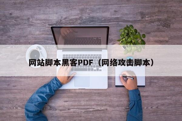 网站脚本黑客PDF（网络攻击脚本）