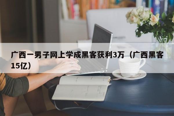 广西一男子网上学成黑客获利3万（广西黑客15亿）