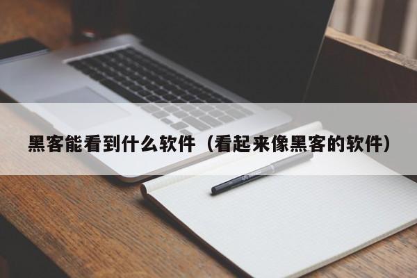 黑客能看到什么软件（看起来像黑客的软件）