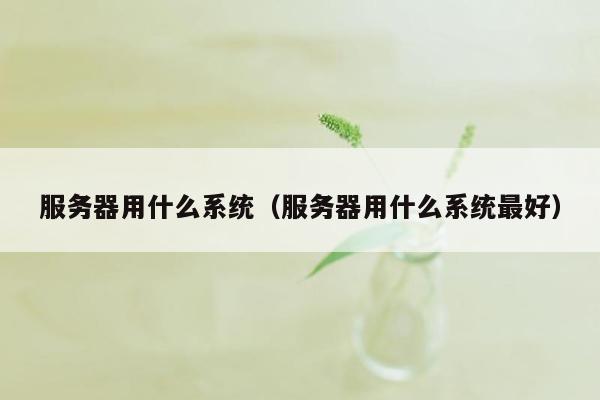 服务器用什么系统（服务器用什么系统最好）