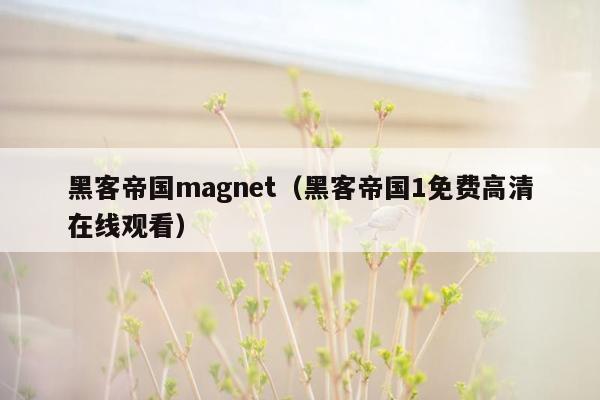 黑客帝国magnet（黑客帝国1免费高清在线观看）