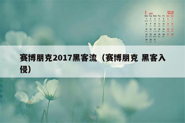 赛博朋克2017黑客流（赛博朋克 黑客入侵）