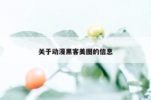 关于动漫黑客美图的信息