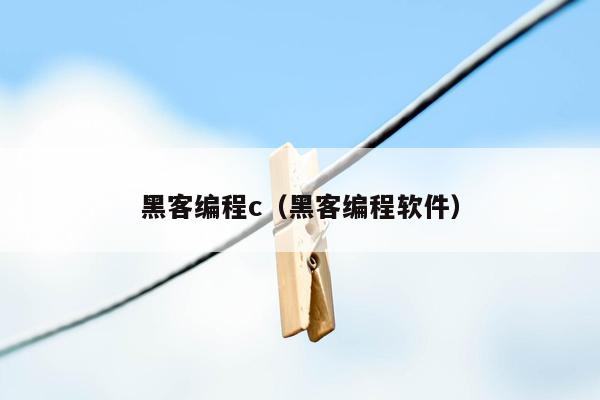 黑客编程c（黑客编程软件）