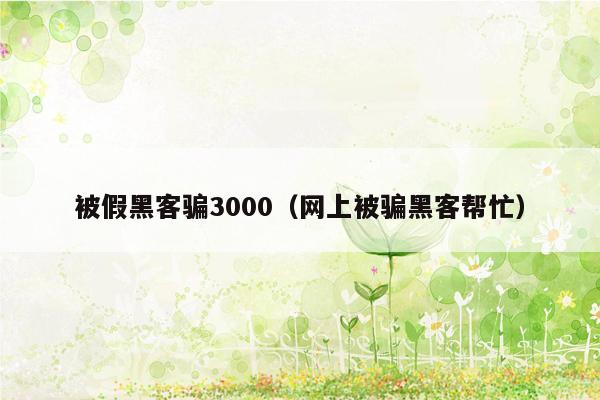 被假黑客骗3000（网上被骗黑客帮忙）