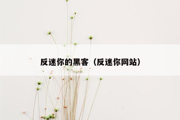 反迷你的黑客（反迷你网站）