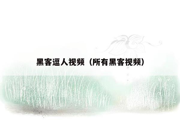 黑客逗人视频（所有黑客视频）