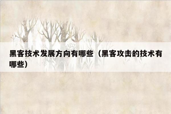 黑客技术发展方向有哪些（黑客攻击的技术有哪些）