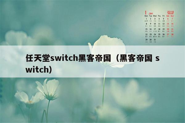 任天堂switch黑客帝国（黑客帝国 switch）