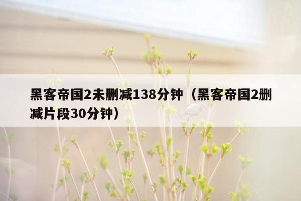 黑客帝国2未删减138分钟（黑客帝国2删减片段30分钟）