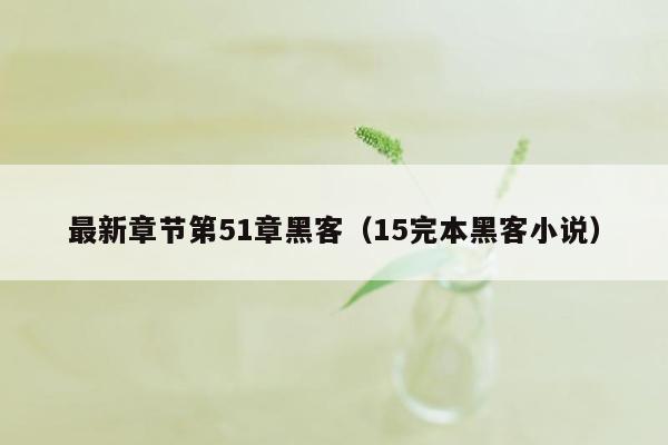 最新章节第51章黑客（15完本黑客小说）