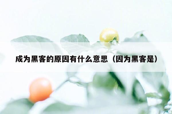 成为黑客的原因有什么意思（因为黑客是）