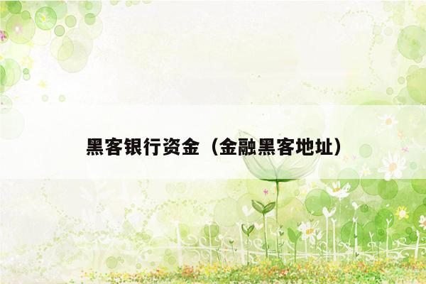 黑客银行资金（金融黑客地址）