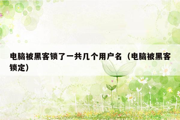 电脑被黑客锁了一共几个用户名（电脑被黑客锁定）