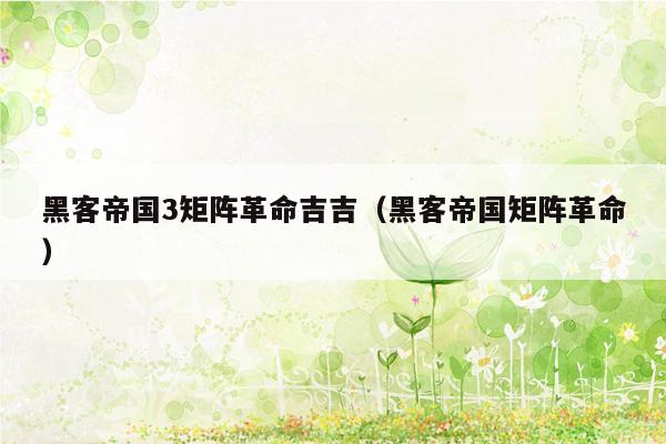 黑客帝国3矩阵革命吉吉（黑客帝国矩阵革命）