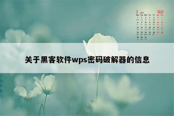 关于黑客软件wps密码破解器的信息