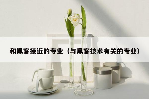 和黑客接近的专业（与黑客技术有关的专业）