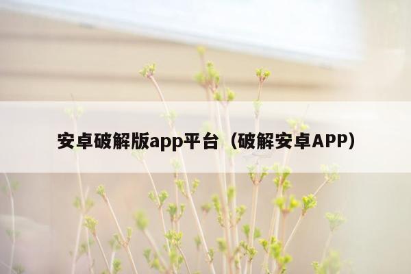 安卓破解版app平台（破解安卓APP）