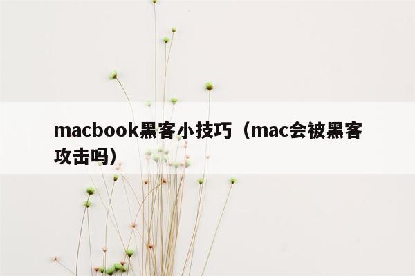 macbook黑客小技巧（mac会被黑客攻击吗）
