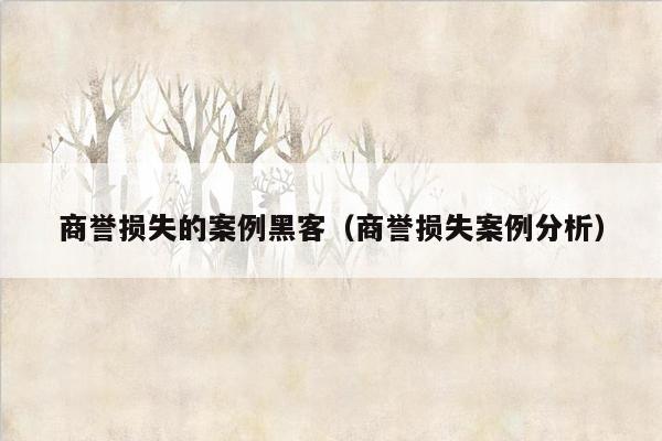 商誉损失的案例黑客（商誉损失案例分析）