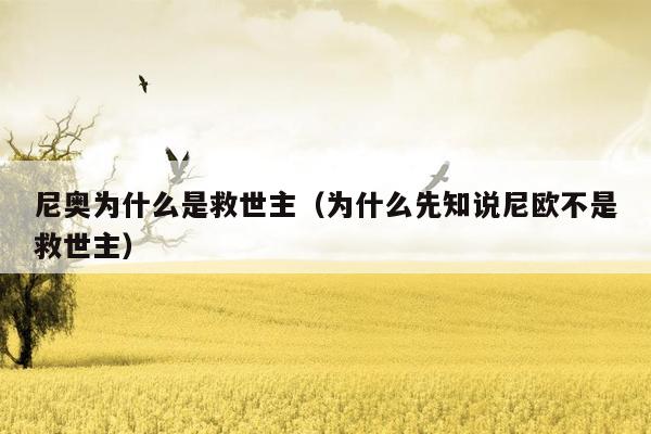 尼奥为什么是救世主（为什么先知说尼欧不是救世主）