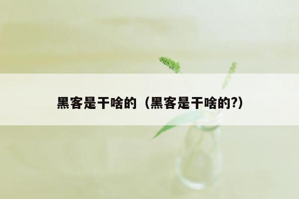 黑客是干啥的（黑客是干啥的?）