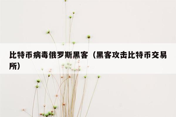 比特币病毒俄罗斯黑客（黑客攻击比特币交易所）