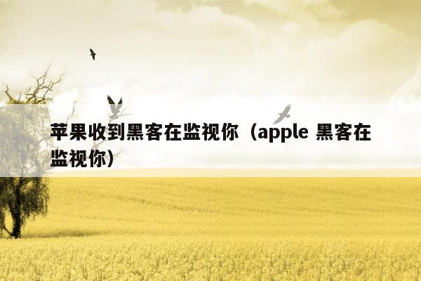 苹果收到黑客在监视你（apple 黑客在监视你）