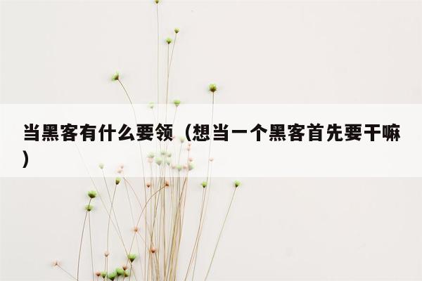 当黑客有什么要领（想当一个黑客首先要干嘛）