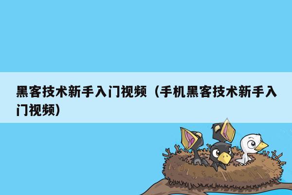 黑客技术新手入门视频（手机黑客技术新手入门视频）