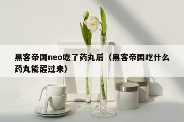 黑客帝国neo吃了药丸后（黑客帝国吃什么药丸能醒过来）