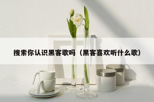 搜索你认识黑客歌吗（黑客喜欢听什么歌）