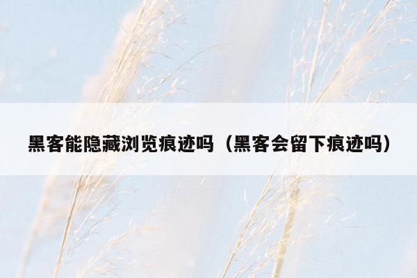 黑客能隐藏浏览痕迹吗（黑客会留下痕迹吗）