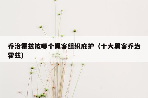 乔治霍兹被哪个黑客组织庇护（十大黑客乔治霍兹）