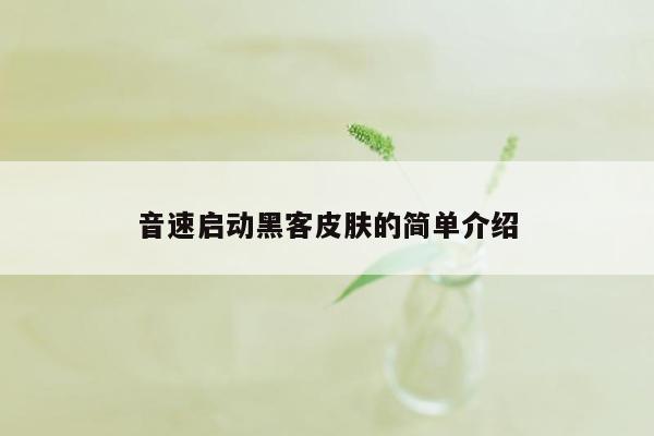 音速启动黑客皮肤的简单介绍