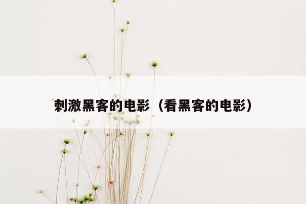 刺激黑客的电影（看黑客的电影）