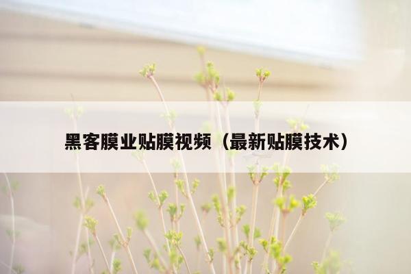 黑客膜业贴膜视频（最新贴膜技术）