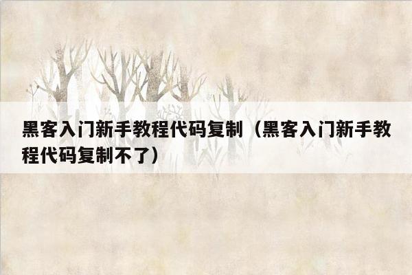 黑客入门新手教程代码复制（黑客入门新手教程代码复制不了）