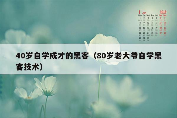 40岁自学成才的黑客（80岁老大爷自学黑客技术）