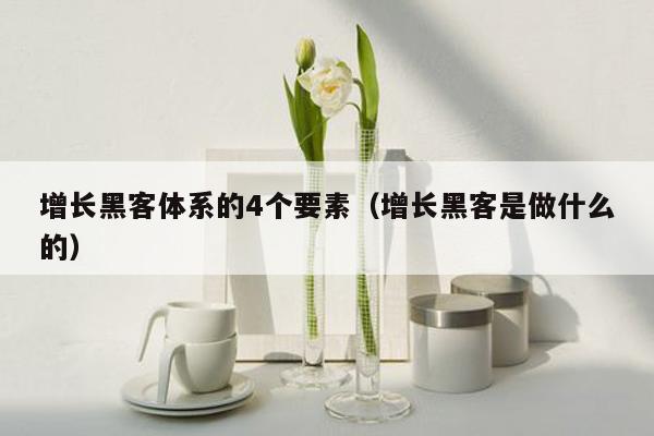 增长黑客体系的4个要素（增长黑客是做什么的）