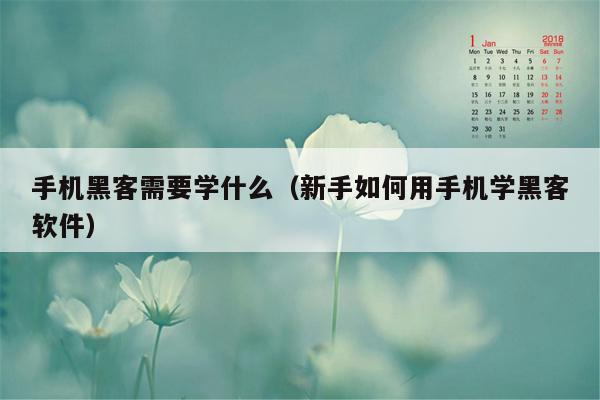 手机黑客需要学什么（新手如何用手机学黑客软件）