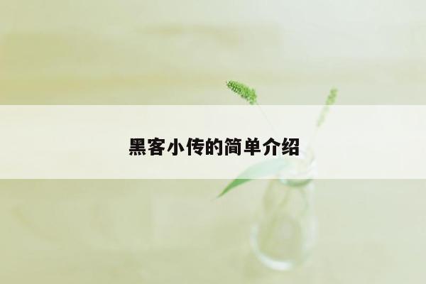 黑客小传的简单介绍