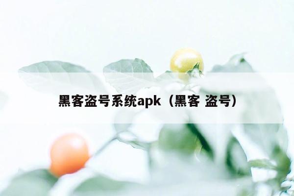 黑客盗号系统apk（黑客 盗号）