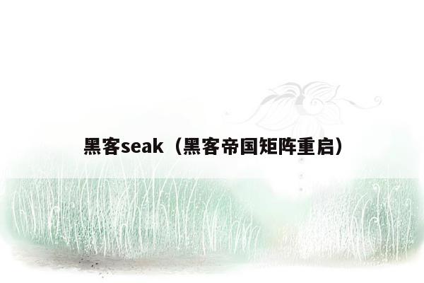 黑客seak（黑客帝国矩阵重启）