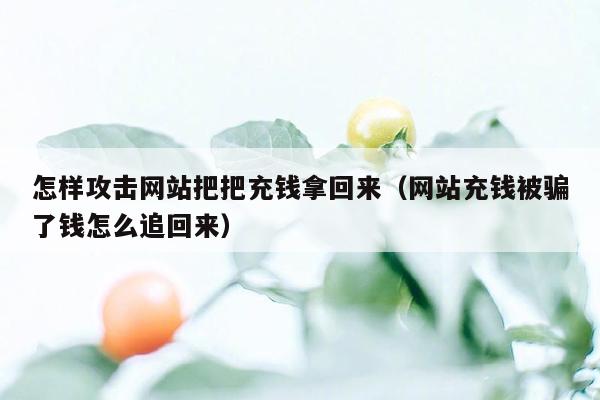 怎样攻击网站把把充钱拿回来（网站充钱被骗了钱怎么追回来）