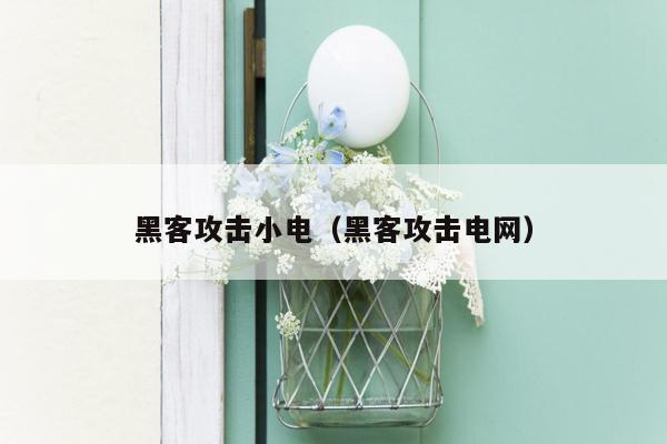 黑客攻击小电（黑客攻击电网）