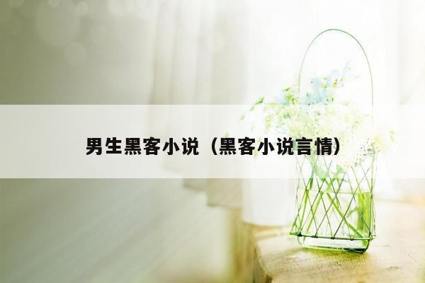 男生黑客小说（黑客小说言情）