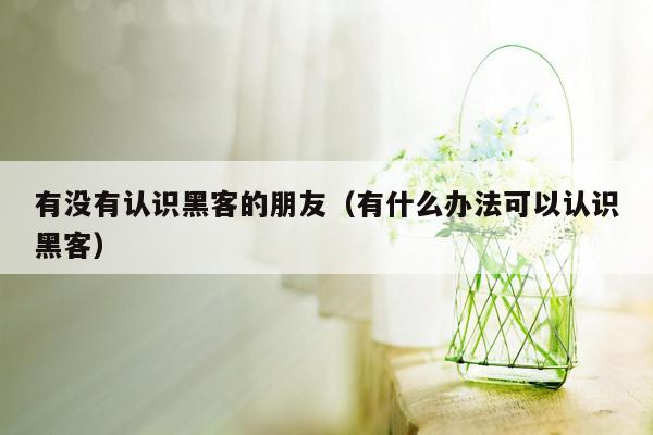 有没有认识黑客的朋友（有什么办法可以认识黑客）