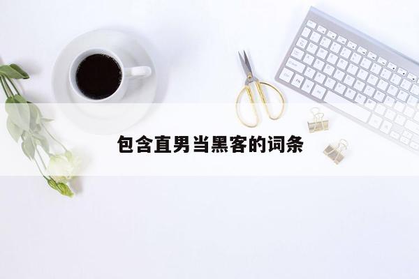 包含直男当黑客的词条